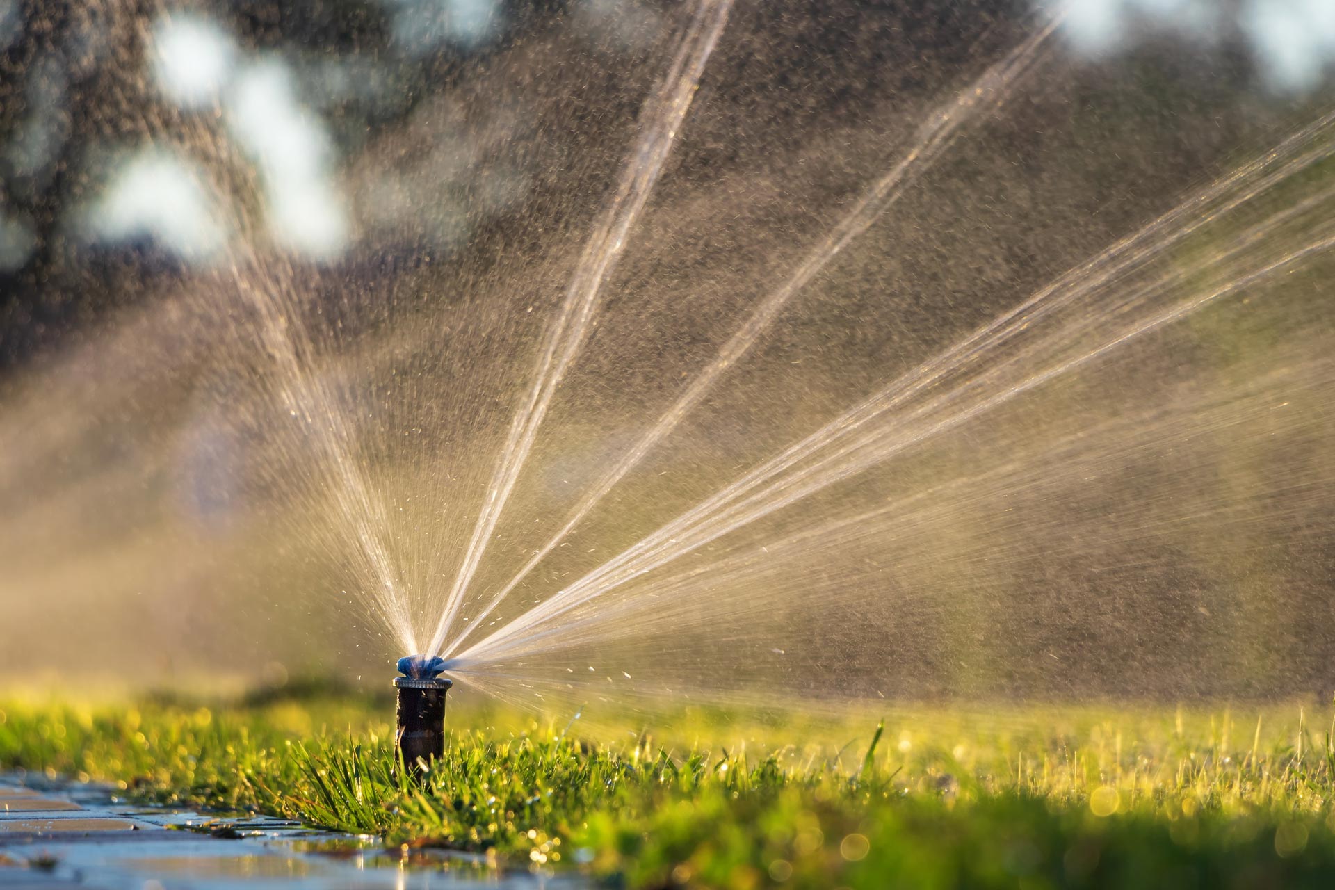 Sistemas de Irrigação Inteligente: Tecnologia a Favor do seu Jardim Sorocaba e Região